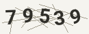 کد امنیتی تصویری