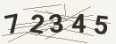کد امنیتی تصویری