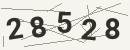 کد امنیتی تصویری