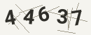 کد امنیتی تصویری