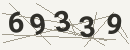 کد امنیتی تصویری