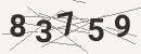 کد امنیتی تصویری