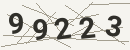 کد امنیتی تصویری