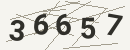 کد امنیتی تصویری