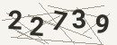 کد امنیتی تصویری