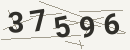 کد امنیتی تصویری