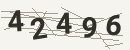 کد امنیتی تصویری
