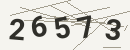 کد امنیتی تصویری