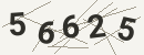 کد امنیتی تصویری