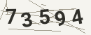 کد امنیتی تصویری