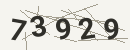 کد امنیتی تصویری