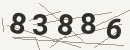 کد امنیتی تصویری