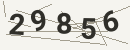 کد امنیتی تصویری