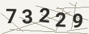 کد امنیتی تصویری