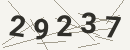 کد امنیتی تصویری