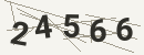کد امنیتی تصویری