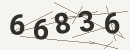 کد امنیتی تصویری