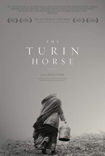 دانلود فیلم The Turin Horse 201110493-1109476226