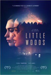 دانلود فیلم Little Woods 201822292-1713050751
