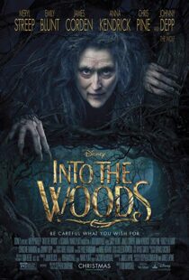 دانلود فیلم Into the Woods 20143675-1807228083