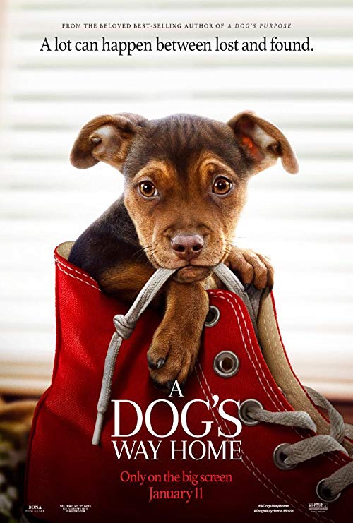 دانلود فیلم A Dog’s Way Home 2019