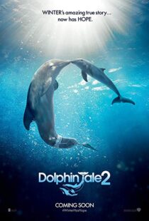 دانلود فیلم Dolphin Tale 2 201421312-2104362075