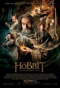 دانلود فیلم The Hobbit: The Desolation of Smaug 2013 سرزمین میانه ۱: هابیت ۲: ویرانی اسماگ196262-1816120991
