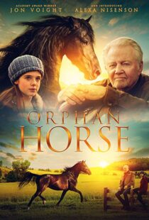 دانلود فیلم Orphan Horse 20188125-895998176