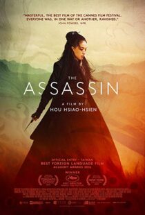 دانلود فیلم The Assassin 201513760-1606632668