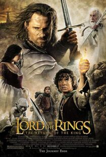 دانلود فیلم The Lord of the Rings: The Return of the King 20033450-1472724316