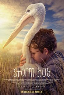 دانلود فیلم Storm Boy 20199003-541209238