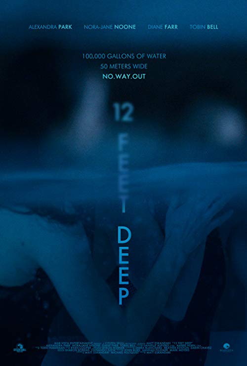 دانلود فیلم 12 Feet Deep 2017