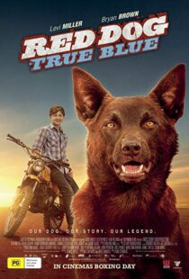 دانلود فیلم Red Dog: True Blue 20168899-837114694