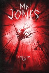 دانلود فیلم Mr. Jones 201337611-950026392