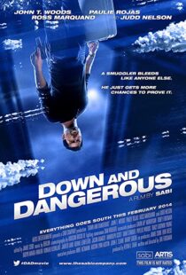 دانلود فیلم Down and Dangerous 201340211-442700340