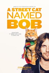 دانلود فیلم A Street Cat Named Bob 201641621-2073778714