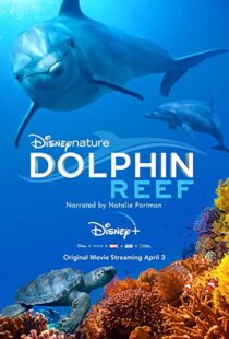 دانلود مستند Dolphin Reef 2018 صخره دلفین38724-1400540896