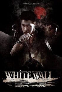 دانلود فیلم White Wall 201043853-1199042449