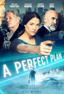 دانلود فیلم A Perfect Plan 202043957-1737033775