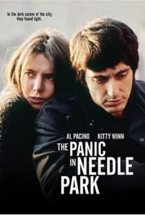 دانلود فیلم The Panic in Needle Park 197150558-103317010