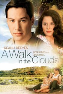 دانلود فیلم A Walk in the Clouds 199553815-36132488
