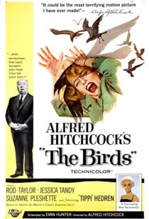 دانلود فیلم The Birds 196382372-865245414