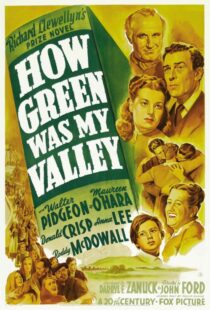 دانلود فیلم How Green Was My Valley 194181855-508463879