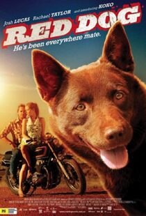 دانلود فیلم Red Dog 201187414-2000020921