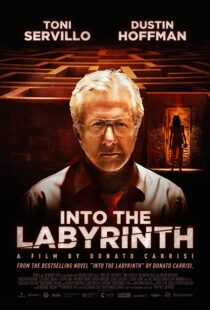 دانلود فیلم Into the Labyrinth 201991141-877795546