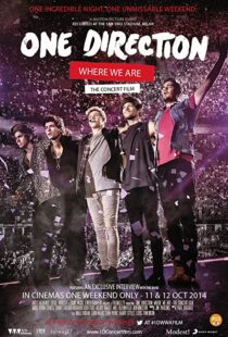 دانلود مستند One Direction: Where We Are – The Concert Film 2014100436-382470651