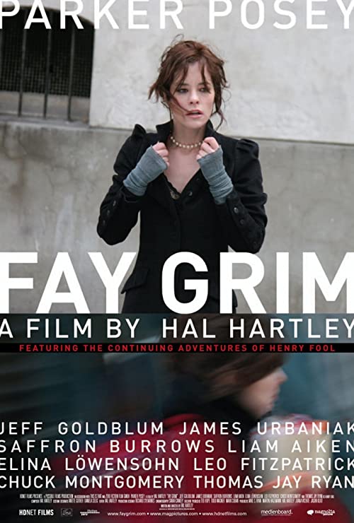 دانلود فیلم Fay Grim 2006