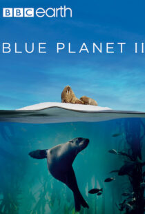 دانلود مستند Blue Planet II100194-1827698996
