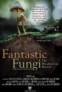 دانلود مستند Fantastic Fungi 2019100518-1013764823