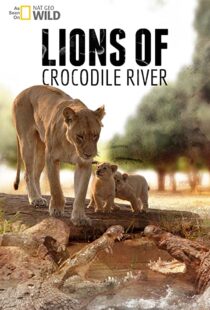 دانلود مستند Lions of Crocodile River 2007103328-18482312